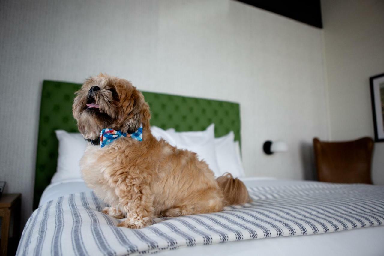 Origin Lexington, A Wyndham Hotel エクステリア 写真